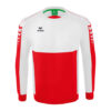 Adults SIX WINGS Sweatshirt Erima