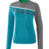 Ladies 5-C Longsleeve Erima